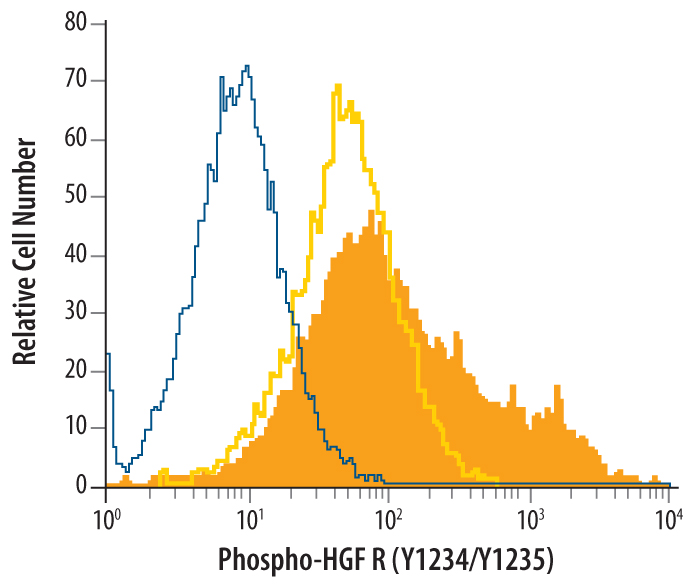 抗HGF R/cMET抗体(AntiHGF Receptor, Phosphorylated, RabbitPoly