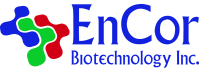EnCor Biotechnology