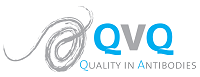 QVQ Holding