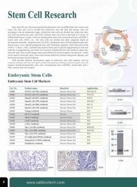 Signalway Antibody社 「Stem Cellミニカタログ」
