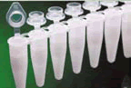 0.2 ml UltraFlux 8 連 PCR ホワイトチューブ