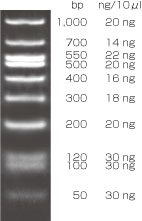 DynaMarker DNA Low D
