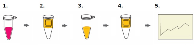 RayBio Biotin Label-Based Glass Sliede Antibody Array (L Series)－化学発光検出