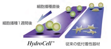HydroCell