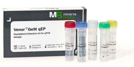 VenorGeM qEP Mycoplasma Detection Kit 