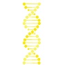 微生物由来DNA
