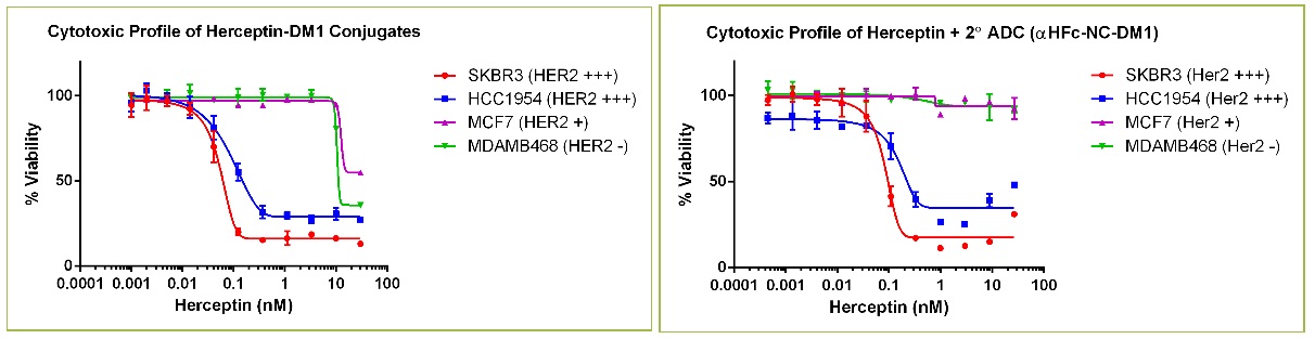 Herceptin-2°ADC との細胞毒性プロファイルの比較結果