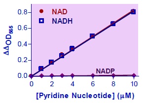 NAD/NADH検量線・比色法