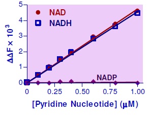 NAD/NADH検量線・蛍光法