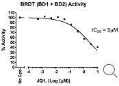 BRDT (BD1+BD2) TR-FRET Assay Kit阻害曲線