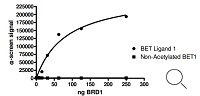 BRD1 Inhibitor Screening Assay Kit阻害曲線