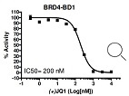 BRD4 (BD1) Inhibitor Screening Assay Kit阻害曲線