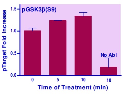 NIH 3T3細胞中のGSK3B（S9）のリン酸化誘導の測定例