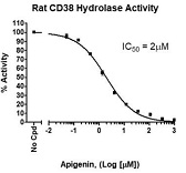 Rat CD38 Inhibitor Screening Assay Kit（Hydrolase Activity）（#79690）阻害曲線例