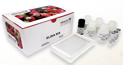 サイトカイン（インターロイキン）ELISA Kit製品外観
