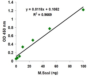 DNA methlase M.ssslのDNMT活性測定例