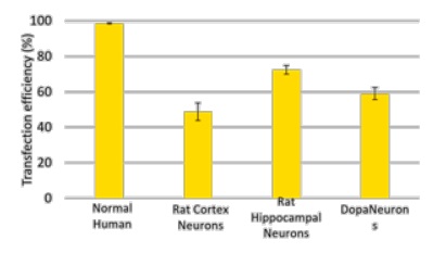 各種ニューロンへのトランスフェクション効率の比較