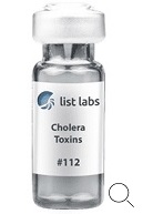 Cholera Toxin, Biotin Conjugate
