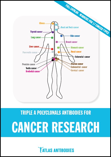 がん（Cancer）研究用カタログ