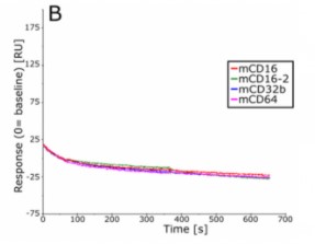 Fc Silent抗体で染色されたBMDMsのフローサイトメトリー解析