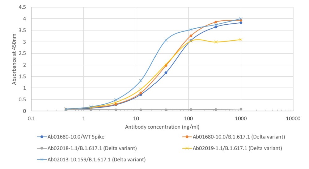 デルタ変異株SARS-CoV-2 spike proteinに対する反応性の確認