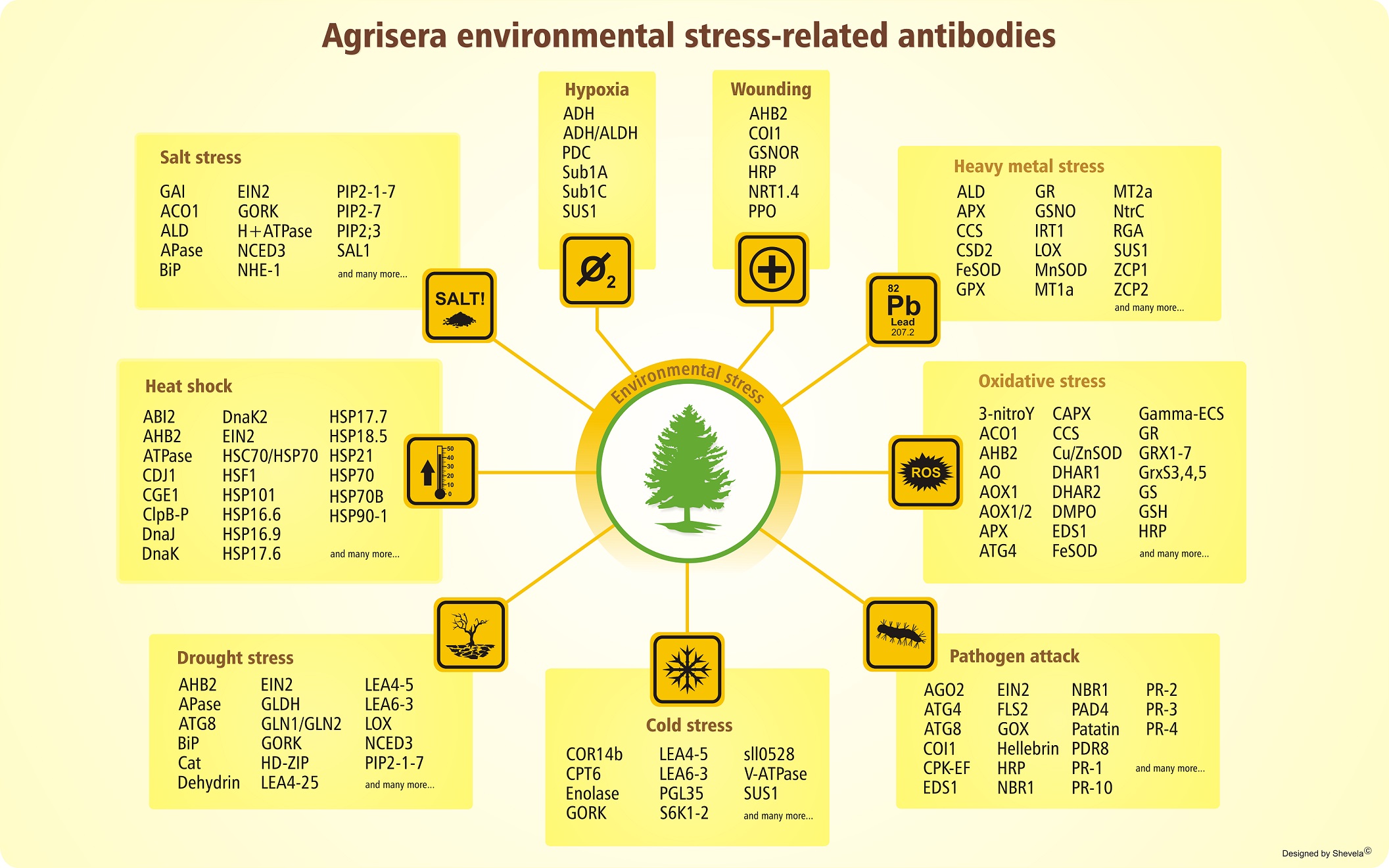 Agrisera社環境ストレス関連抗体ラインナップ