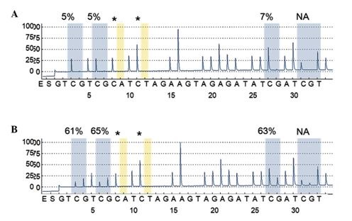 パイロシークエンス法によるDNAメチル化解析