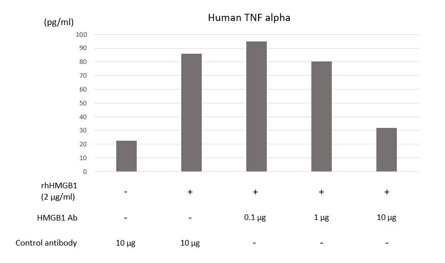 図1. 抗HMGB1抗体（#ARG66714）を用いた中和試験