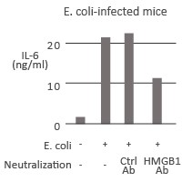 HMGB1中和抗体（#ARG66714）を用いたブロッキング