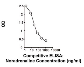 ノルアドレナリン定量ELISAキットの標準曲線