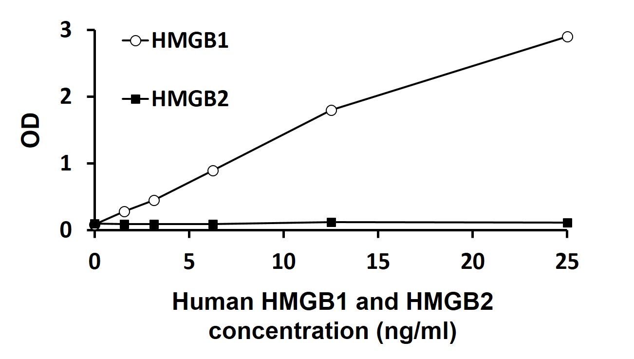 HMGB1およびHMGB2に対する特異性