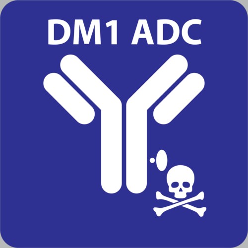 細胞障害性薬物（DM1）