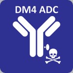 細胞障害性薬物（DM4）