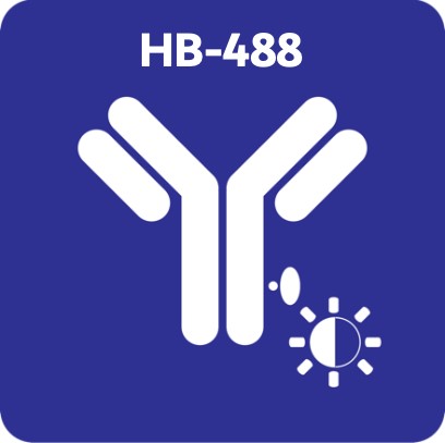 蛍光物質（HB-488nm）