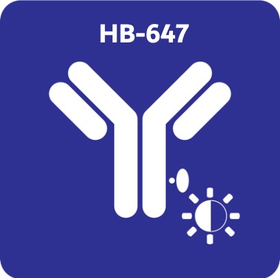 蛍光物質（HB-647nm）