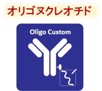 oYo-Linkのラインナップ一覧（Oligo Custom）