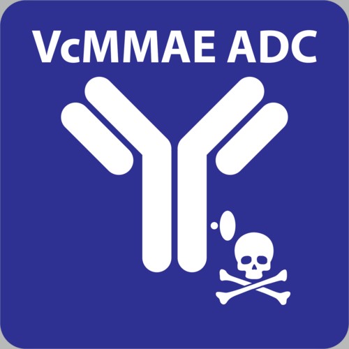細胞障害性薬物（VcMMAE）