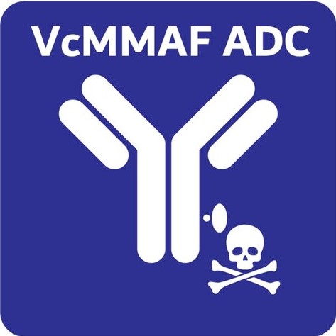 細胞障害性薬物（VcMMAF）
