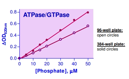 ATPase / GTPase標準曲線