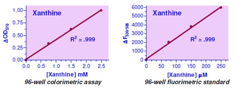 EnzyChrom Xanthine Assay Kit(#EXAN-100)による標準曲線