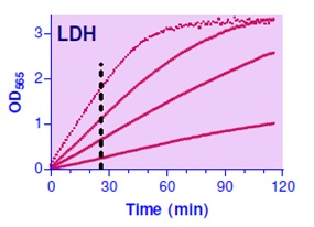 QuantiChrom Lactate Dehydrogenasee Kitの使用例