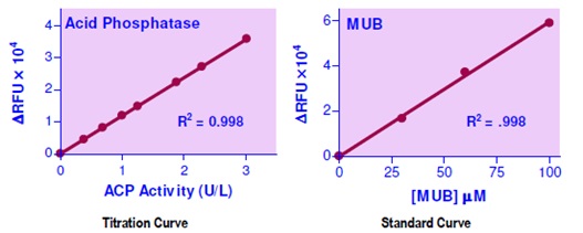 QuantiFluo Acid Phosphatase Assay Kit(#FACP-100)の標準曲線