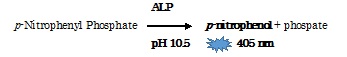QuantiChrom Alkaline Phosphatase Assay Kitの測定原理