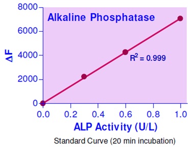 QuantiFluo Alkaline Phosphatase Assay Kit(#QFAP-100)の標準曲線