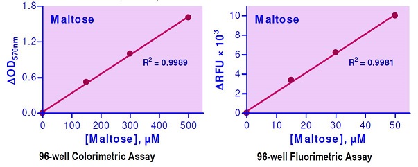 マルトース定量キットの標準曲線