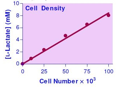 細胞密度と解糖速度