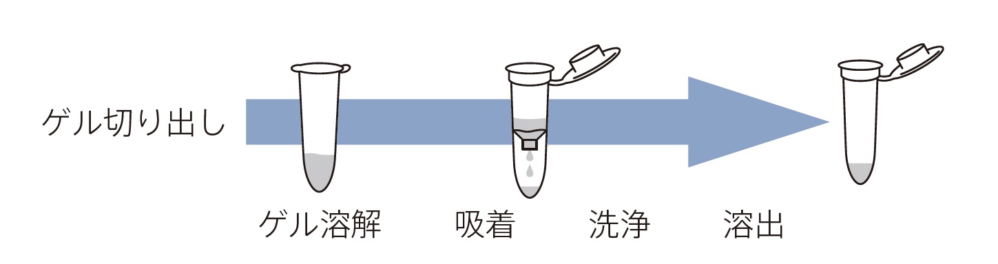 Long ssDNA Gel Extraction Kit操作方法概略