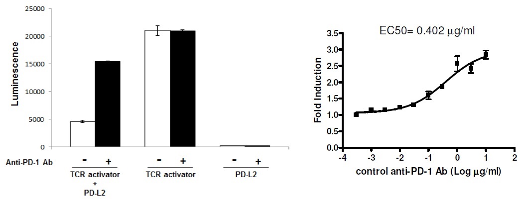 PD-L2と抗PD-L1中和抗体