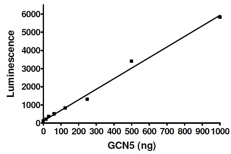 ヒストン・アセチルトランスフェラーゼGCN5活性を測定するキット GCN5 Chemiluminescent Assay Kit