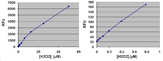 H2O2を用いた標準曲線